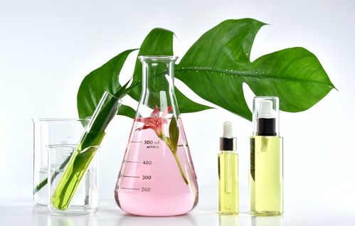 植物提取物護膚的迷霧與真相 破解研發中的常見誤解