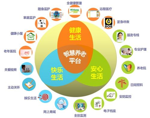 智慧養(yǎng)老新篇章 互聯(lián)網(wǎng)+養(yǎng)老助力居家安享舒心服務